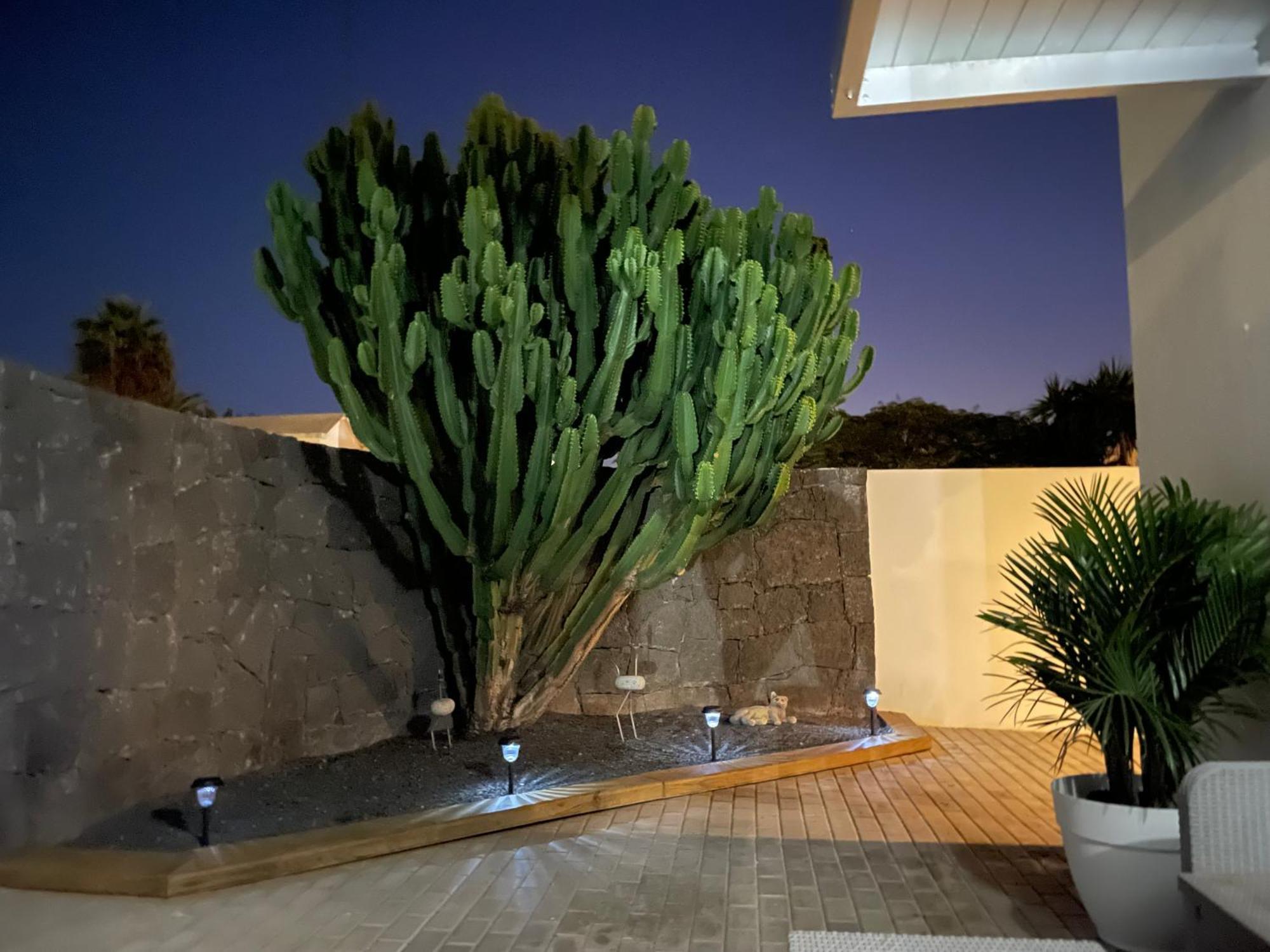 Villa Grey By Vulcano Homes Tahiche Luaran gambar